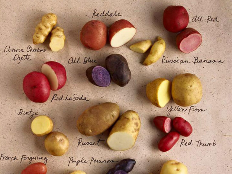 Various types of potatoes with description