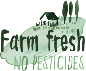 Farm Fresh logo in green on display of the website