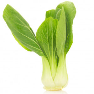 Green Bok Choy on a white background