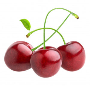 Red Cherries on a white background