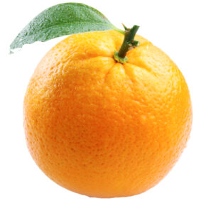 Closeup shot of Mandarin on plain white background