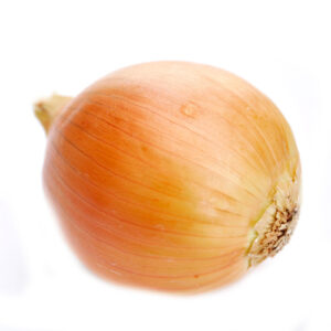 White Onion on a white background