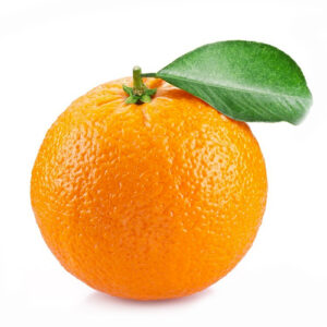 Closeup shot of Orange fruit on display of the website