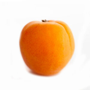 Closeup shot of Apricot on plain white background