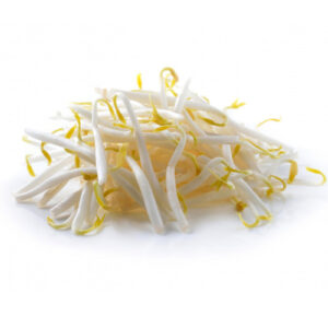 Bean Sprouts on a white background