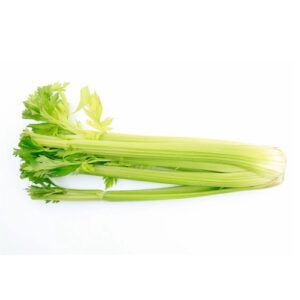 Green Celery on a white background