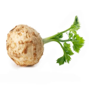 Pale Celery Root on a white background