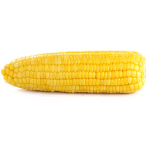Yellow Corn on a white background