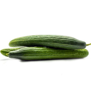 Green English cucumber on a white background