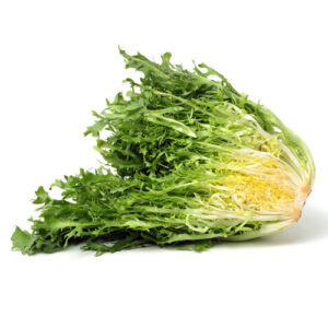 Geen Escarole on a white background