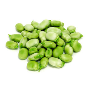 Green Fava Beans on a white background