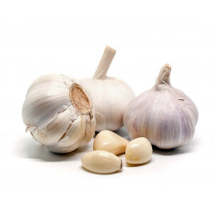 White Garlic on a white background