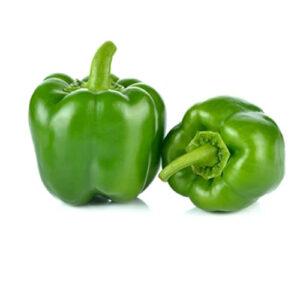 Green Pepper on a white background