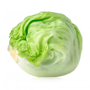 Green Iceberg Lettuce on a white background