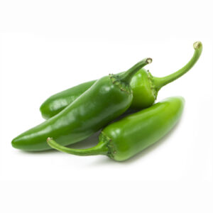 Green Jalapeno on a white background