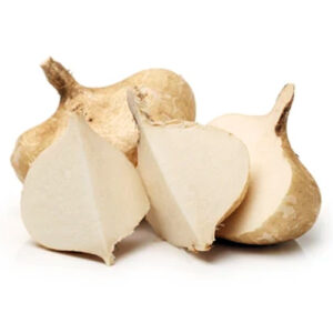 Brown jicama on a white background