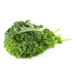 Green Kale on a white background