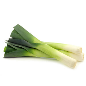 Green Leeks on a white background