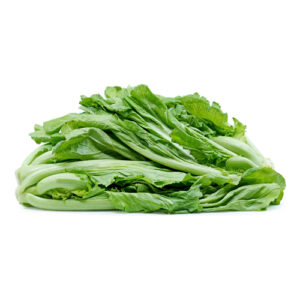 Green Mustard Greens on a white background