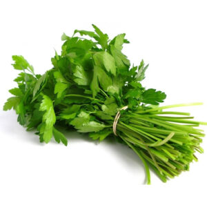 Green Parsley on a white background