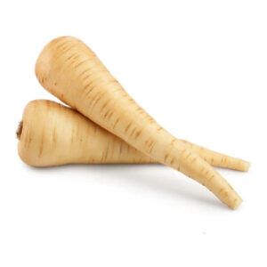 Brown Parsnip on a white background
