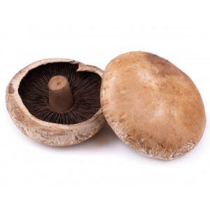 Portabella mushrooms on a white background