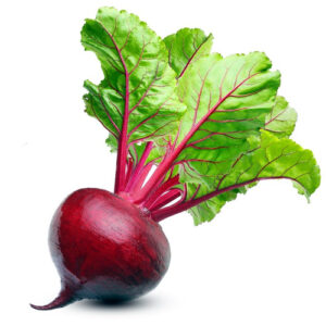 Red Beets on a white background