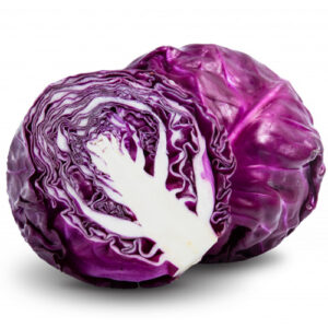 Red Cabbage on a white background