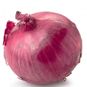 Red Onion on a white background