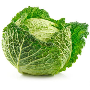 Green Savoy Cabbage on a white background