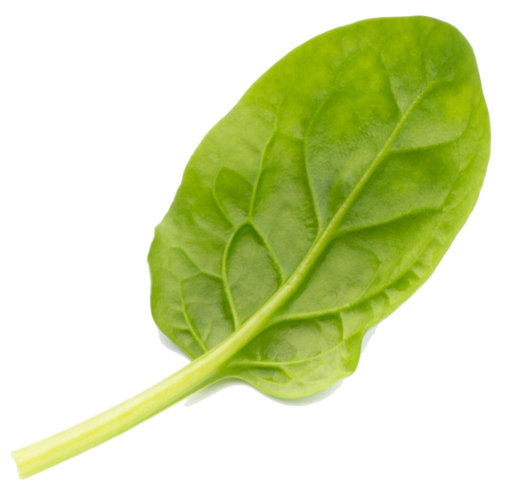 Precut Vegetables Supplier Roberts Precut Vegetables, Inc.