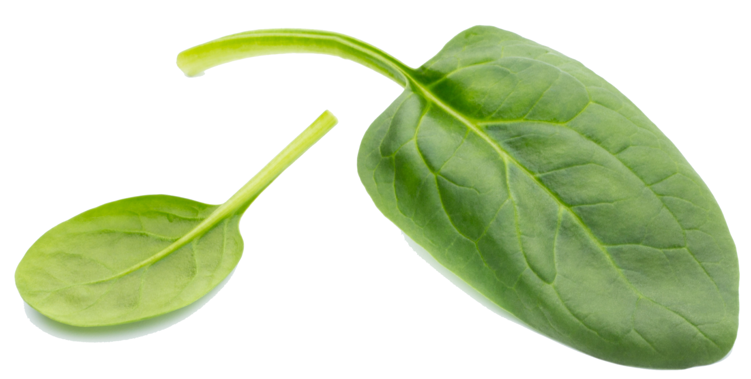 Precut Vegetables Supplier Roberts Precut Vegetables, Inc.