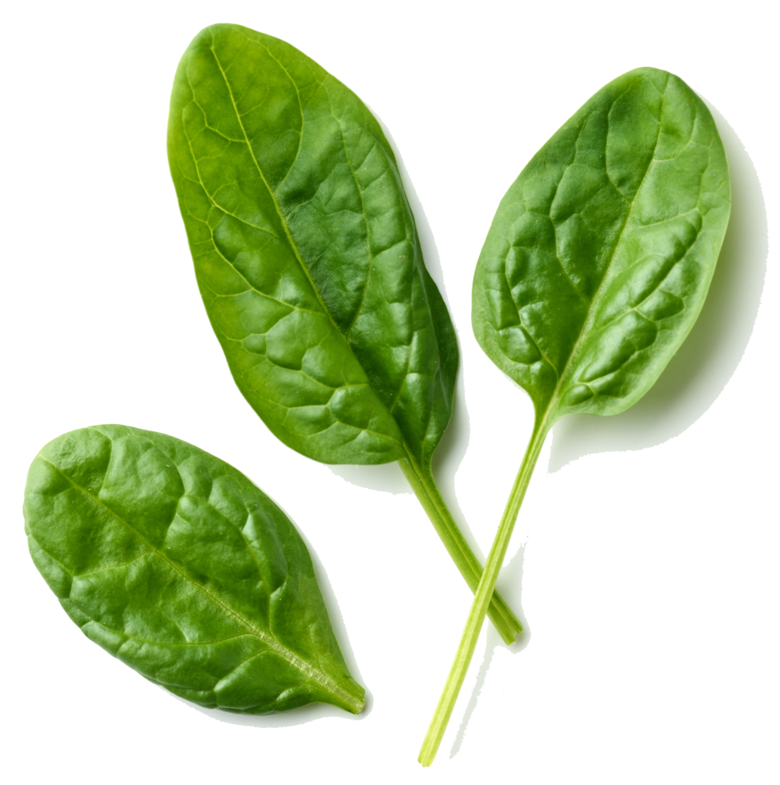 Precut Vegetables Supplier Roberts Precut Vegetables, Inc.