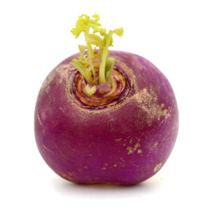 Red Turnip on a white background