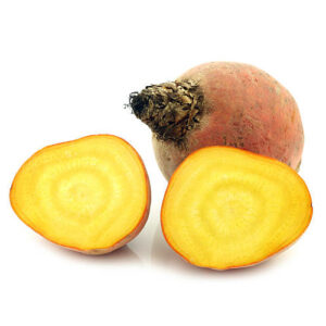 Yellow Beets on a white background